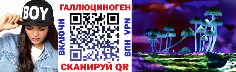 Купить закладки  Зеленодольск  Псилоцибиновые грибы Psilocybe 